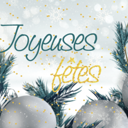 LIRE LA SUITE JOYEUSES FETES