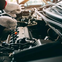 LIRE LA SUITE PERON FOREST, MEMBRE EURO REPAR